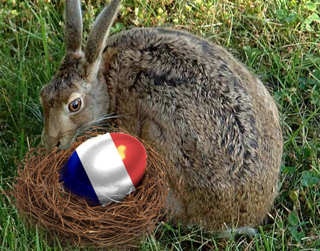 Hollandiában nem aranyos kisnyuszi, hanem éltes jószág a húsvéti nyúl