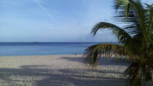 Családtagjaim gyakran a „cigány” kifejezéssel jellemzik életvitelemet