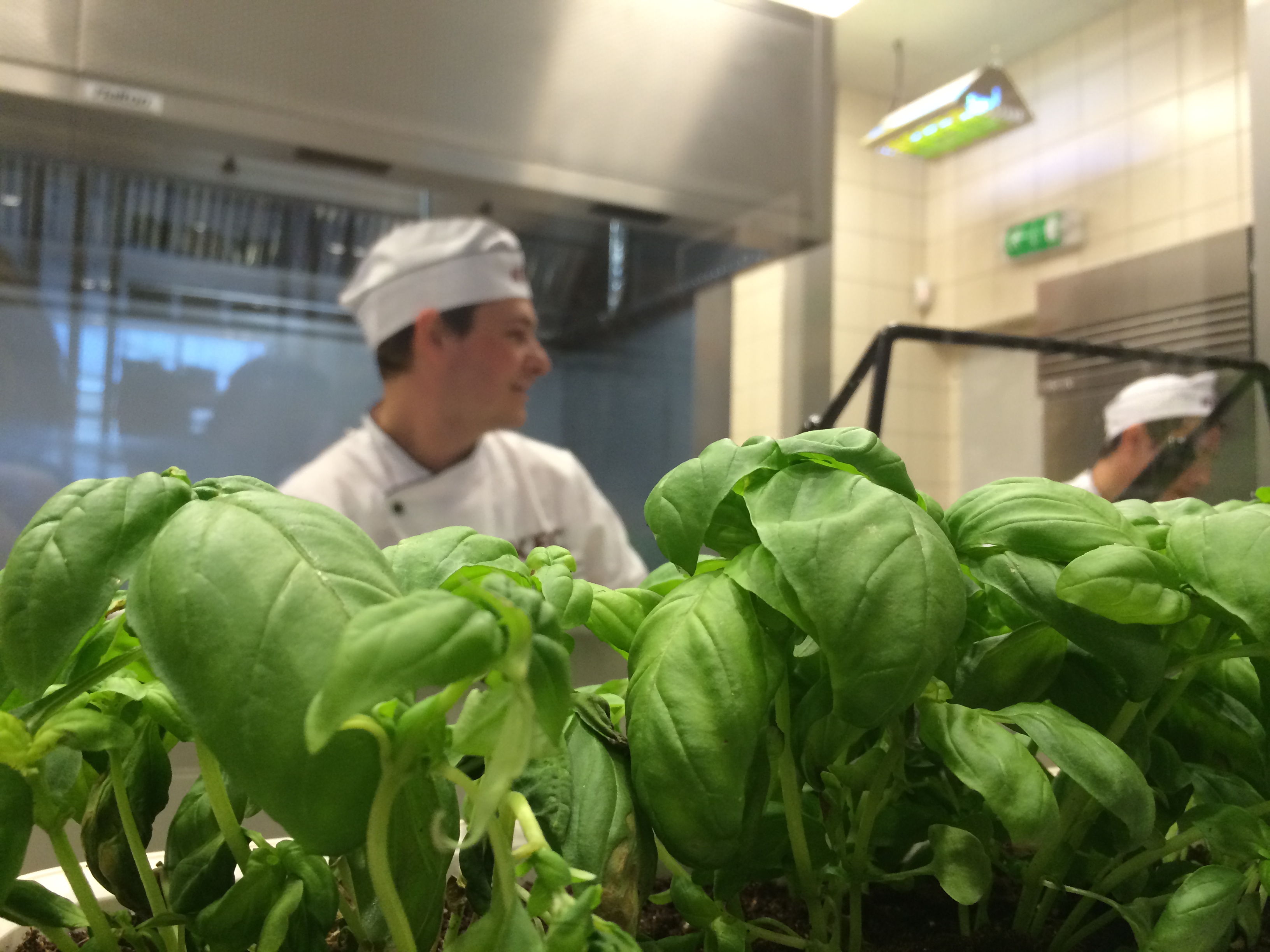 Illustration for article titled Mostantól a pénztáros seggét is megnézheted a KFC-ben