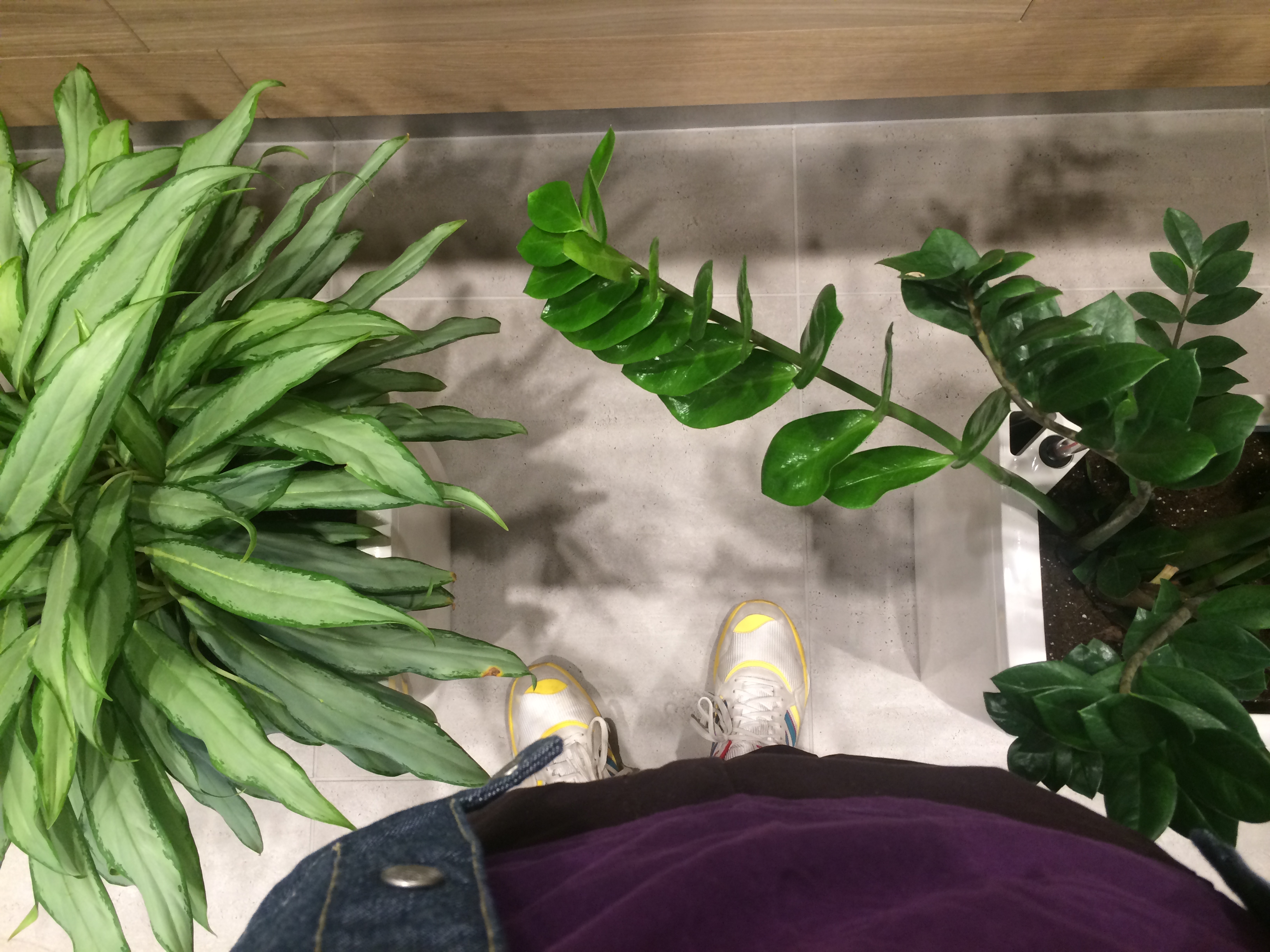 Illustration for article titled Mostantól a pénztáros seggét is megnézheted a KFC-ben