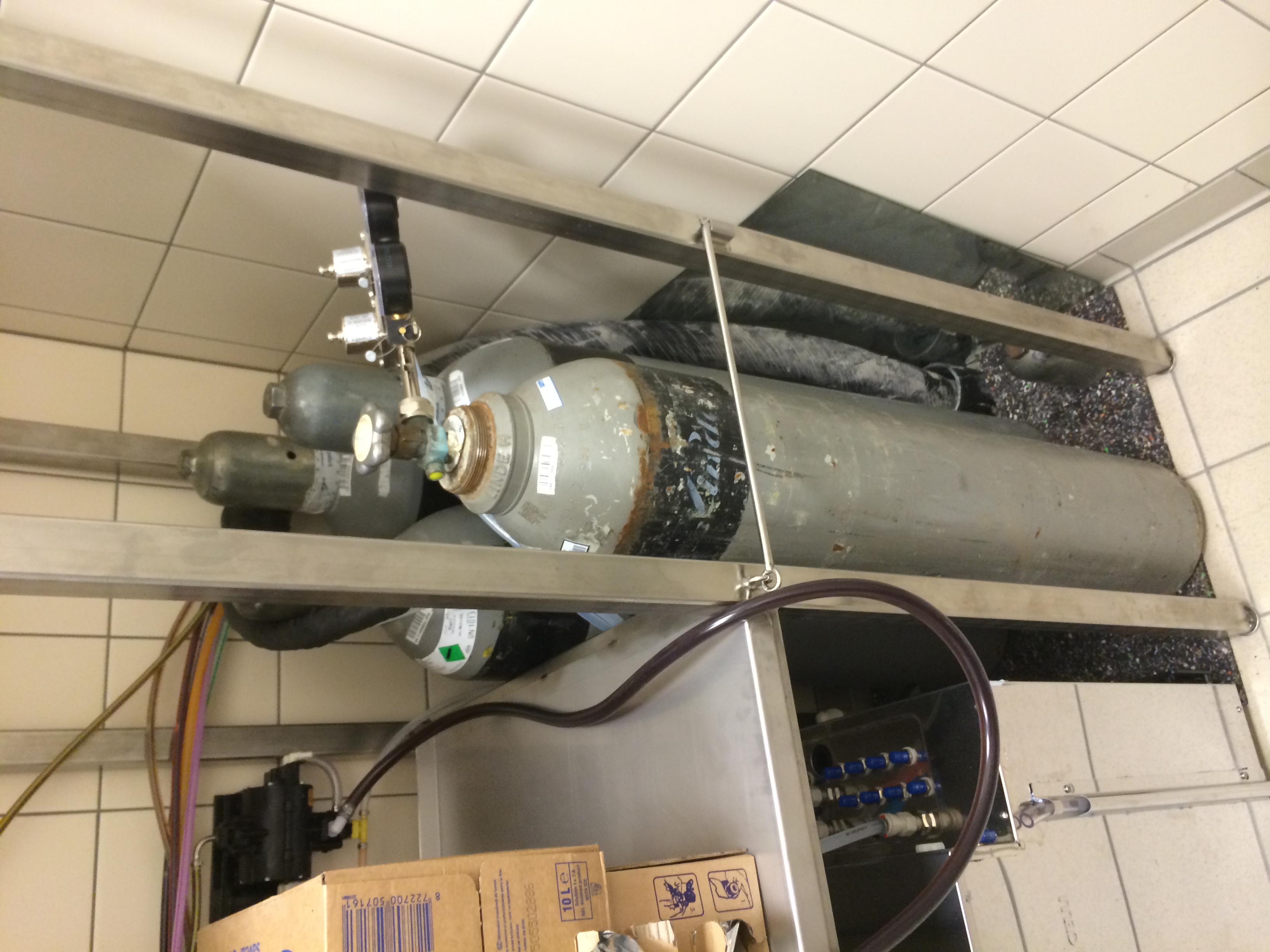 Illustration for article titled Mostantól a pénztáros seggét is megnézheted a KFC-ben