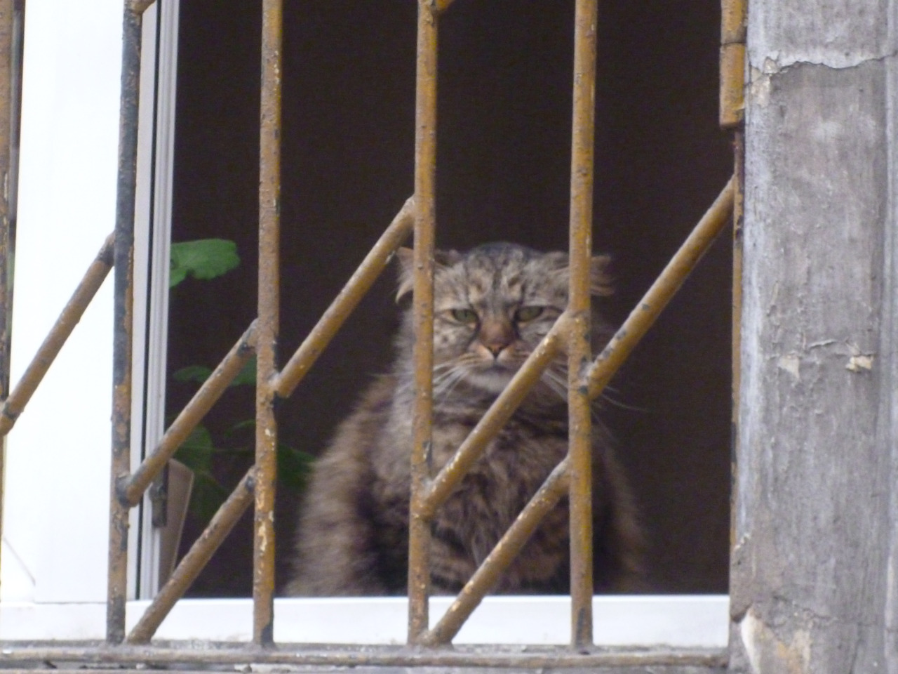 Illustration for article titled Krakkó végül is szinte pont olyan, mint Budapest, de ez kicsit sem baj