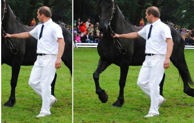 Sejted már, hogy mi lesz itt a poén?