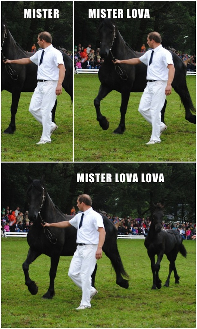 Illustration for article titled Sejted már, hogy mi lesz itt a poén?