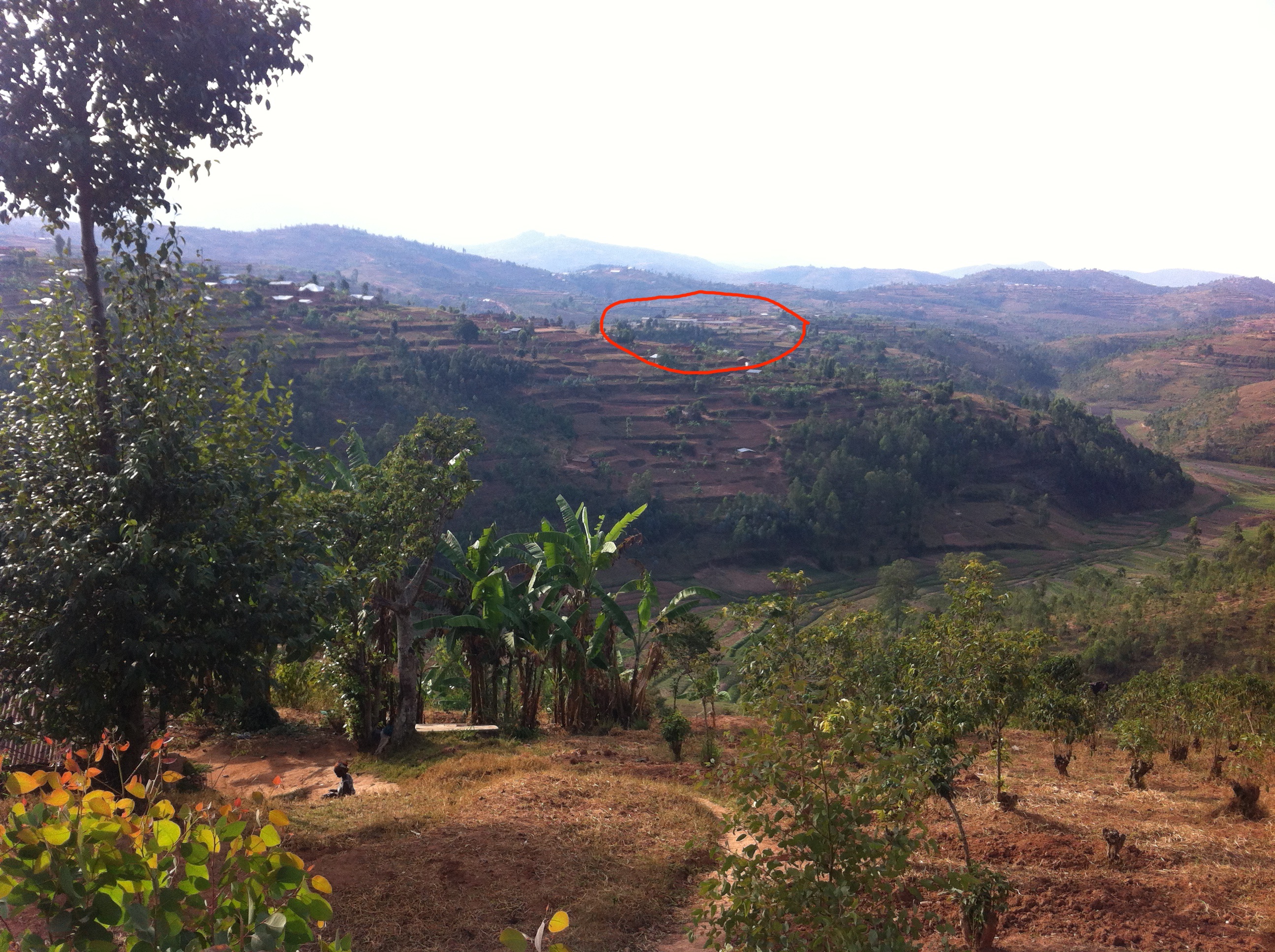 Illustration for article titled Egy ilyen gödörbe belelöktek 7000 hullát, aztán röplabdáztak a tetején