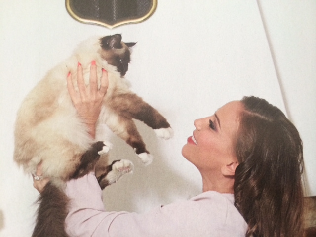 Illustration for article titled Így még soha senki nem mutatta meg Vajnáné Tímea szőrös cicáját