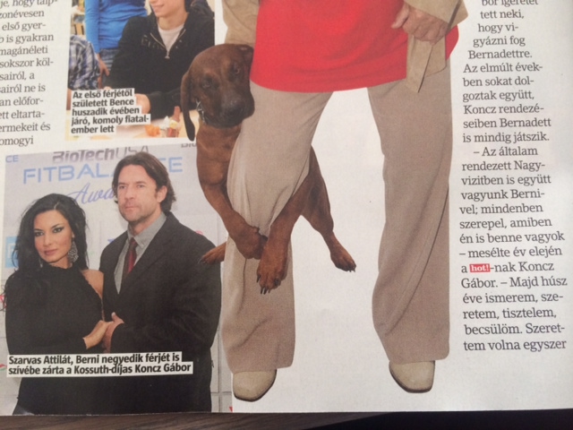 A Hot egyetlen fotóval megverte a most indult Hello! magazint