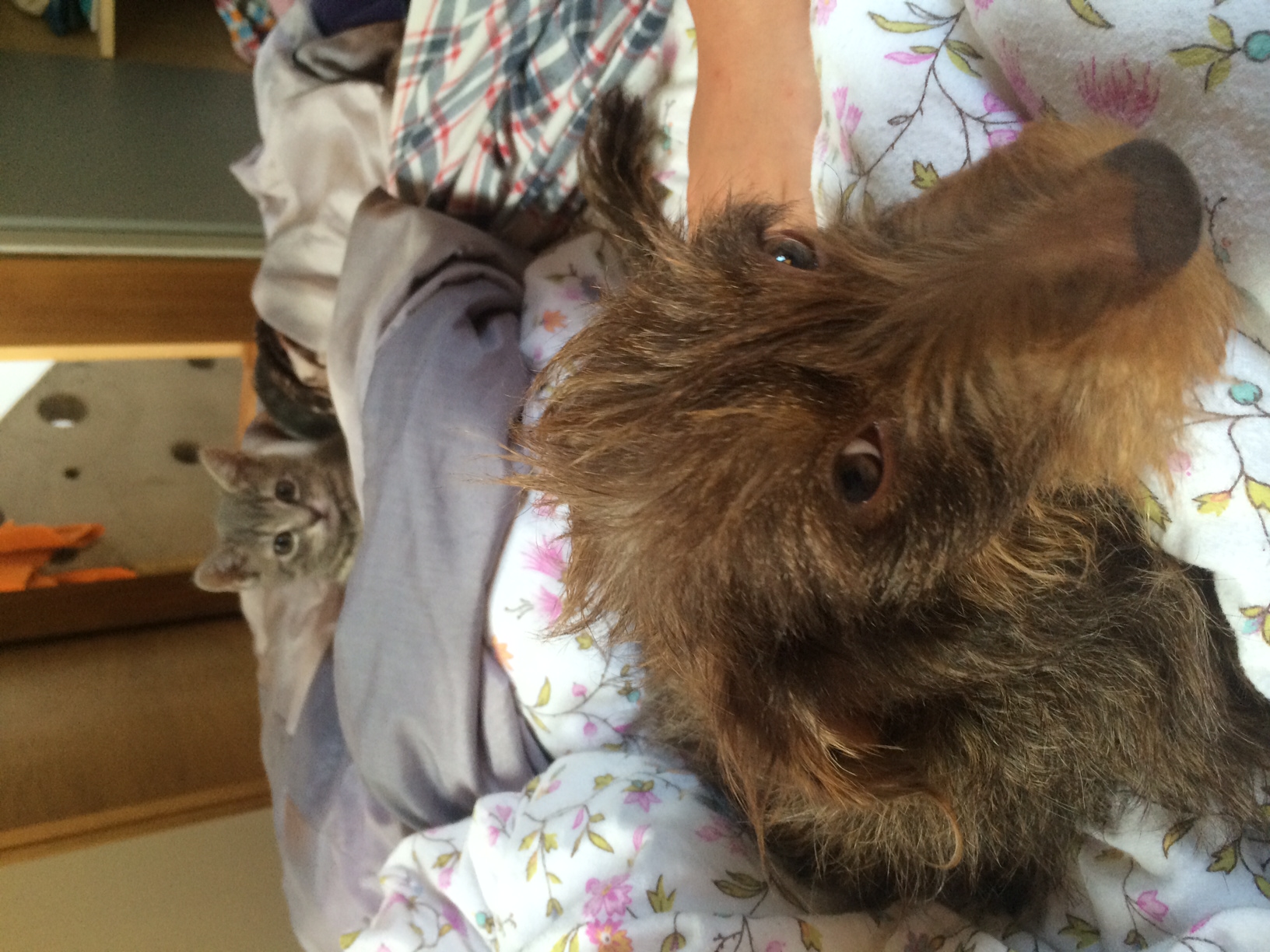 Illustration for article titled Ki az ágyból!