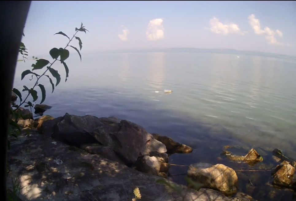 Illustration for article titled Honnan tudhatjuk, hogy tényleg beindult ma a nyár?