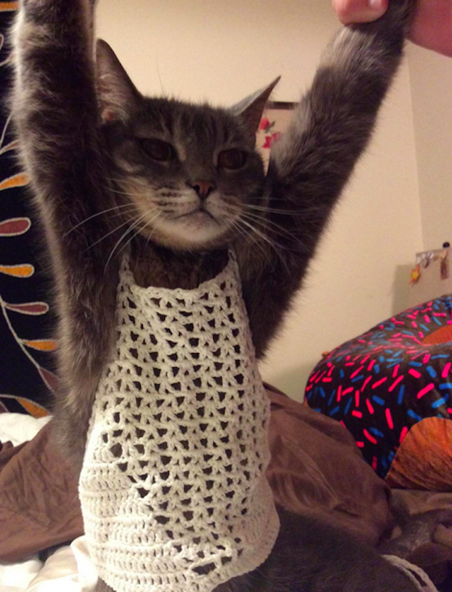 Ez a macskámnak áll jól, nem a lányomnak!