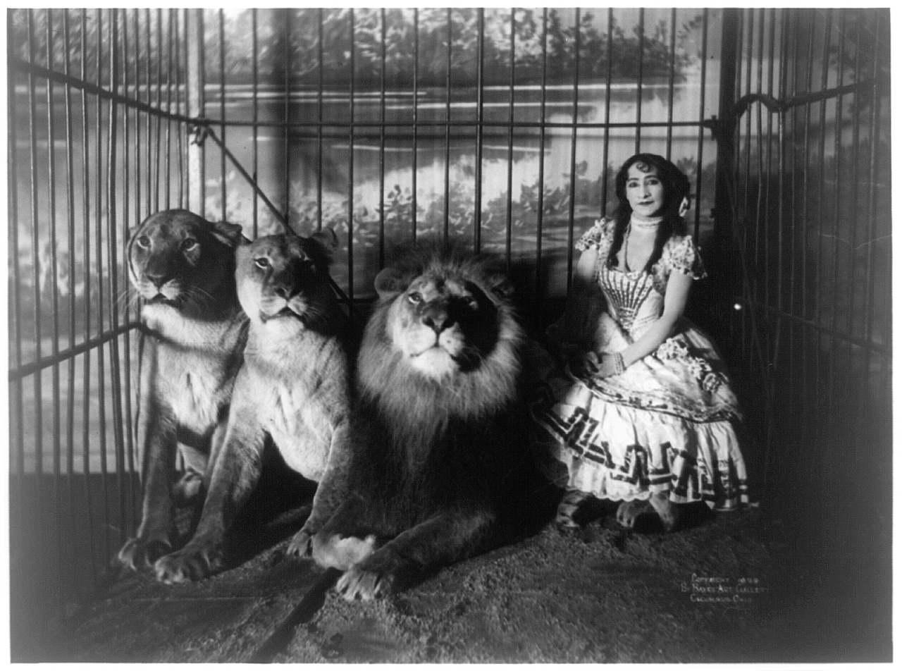 Új Nagycirkusz épülhet a Ligetben vagy a környékén