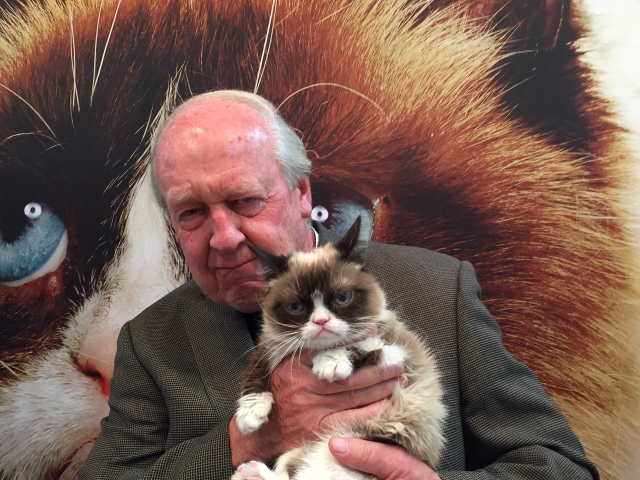 Illustration for article titled Kertész Imre tényleg Grumpy Cattel pózolt?