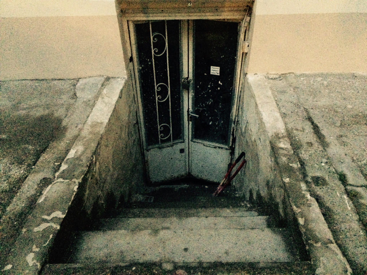 Fantasztikus kalandok után lett meg a Belvárosból eltűnt csodamacska