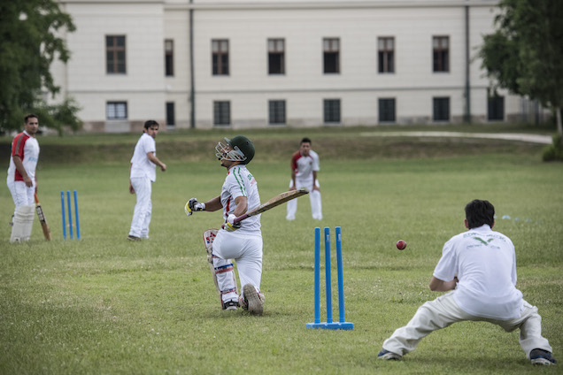 Illustration for article titled Anyu, kimegyünk egy kicsit krikettezni!