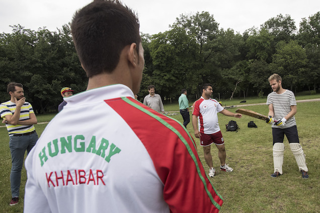 Illustration for article titled Anyu, kimegyünk egy kicsit krikettezni!