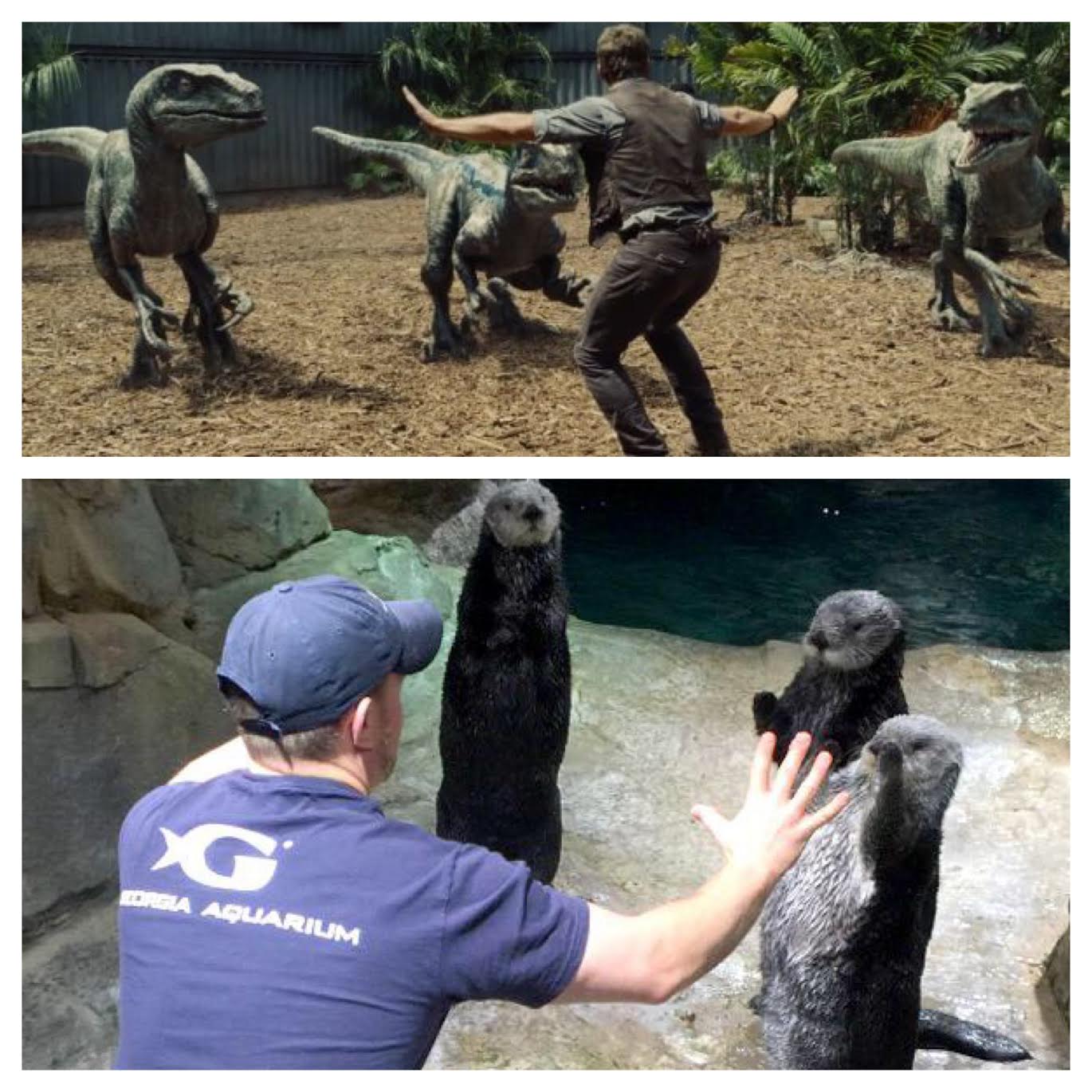 Illustration for article titled Így fékezik meg az igazi profik a vérszomjas állataikat