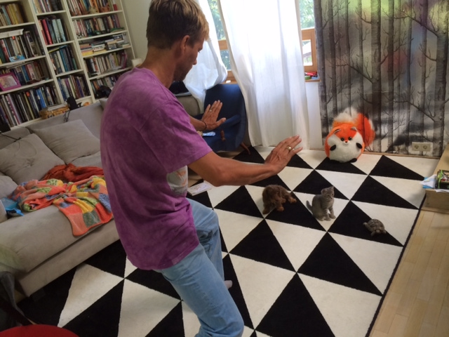 Így ültem fel a Jurassic World-ös mémvonatra