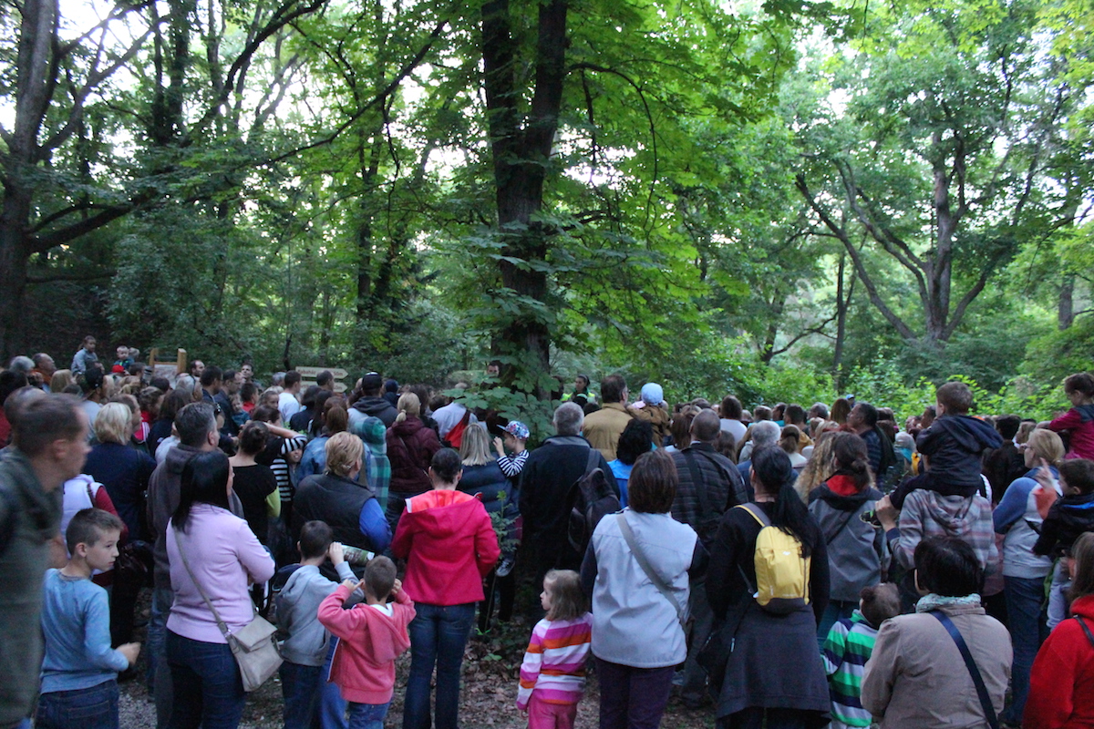 Illustration for article titled Ha én szentjánosbogár lennék, fejvesztve menekülnék még a környékről is