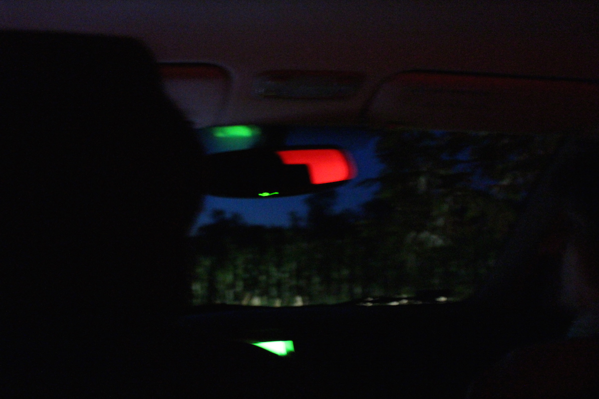 Illustration for article titled Ha én szentjánosbogár lennék, fejvesztve menekülnék még a környékről is