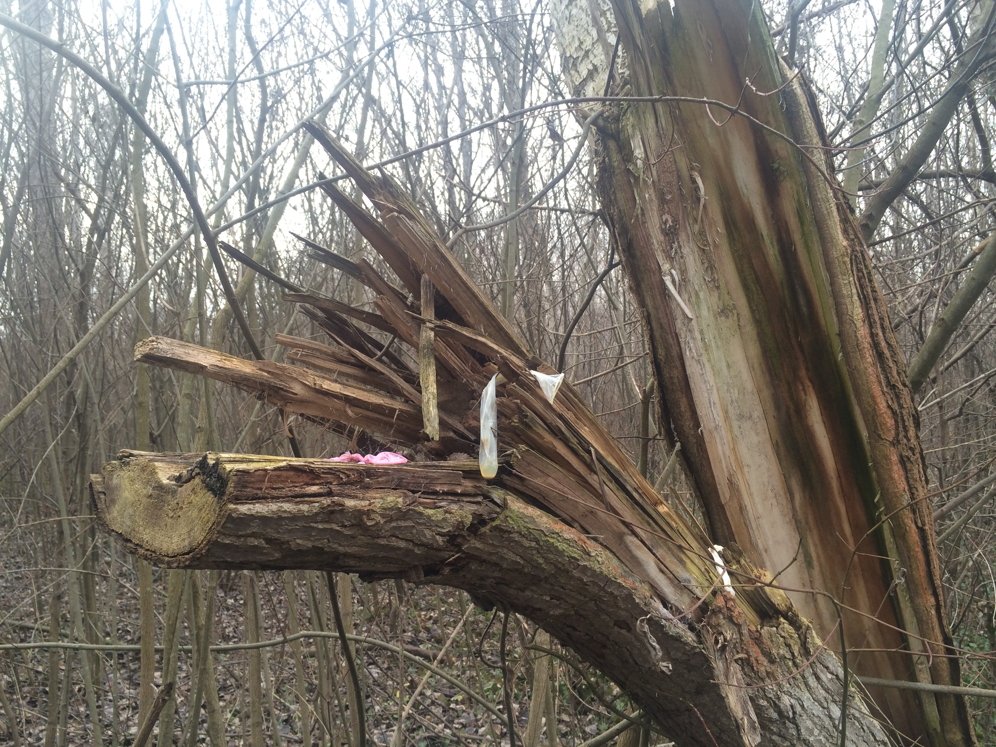 Illustration for article titled Gerillahorgászat Budapesten: benzines biciklivel a titkos tavon