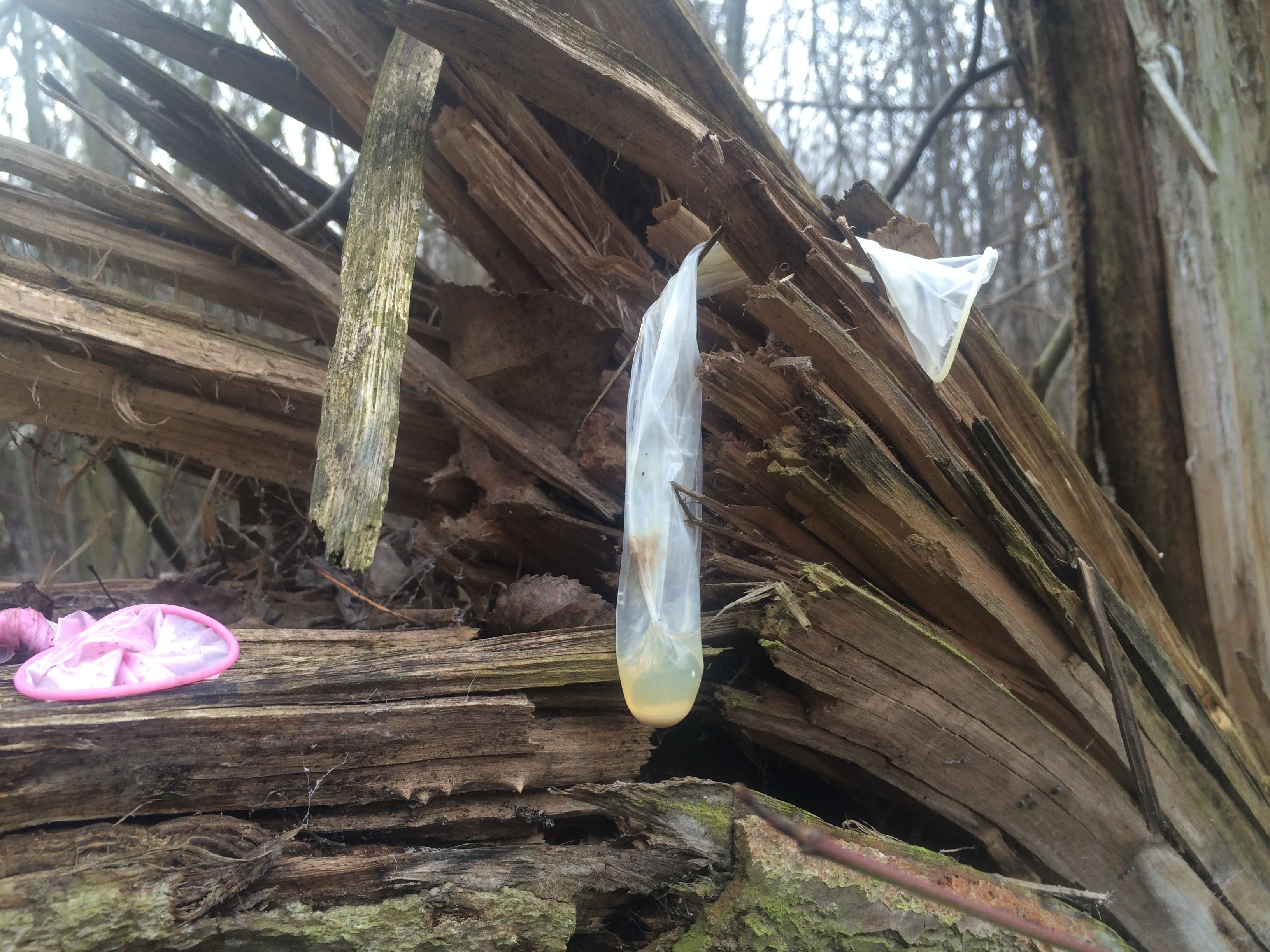 Illustration for article titled Gerillahorgászat Budapesten: benzines biciklivel a titkos tavon