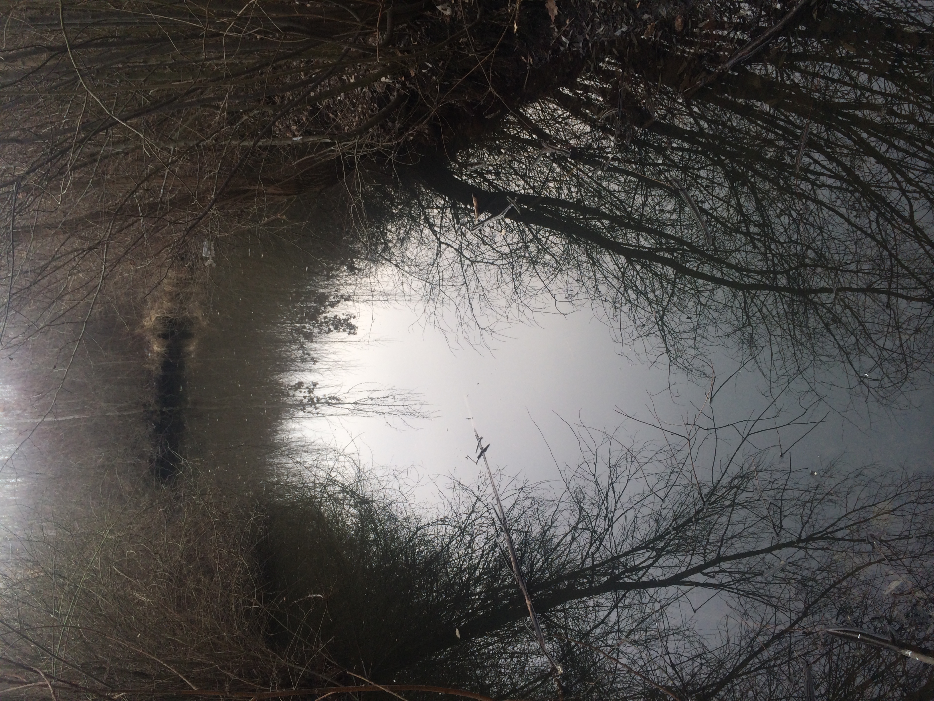 Illustration for article titled Gerillahorgászat Budapesten: benzines biciklivel a titkos tavon