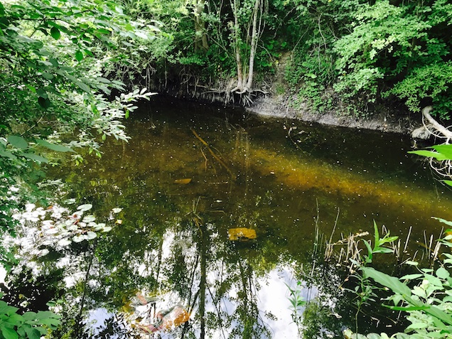 Illustration for article titled Gerillahorgászat Budapesten: benzines biciklivel a titkos tavon