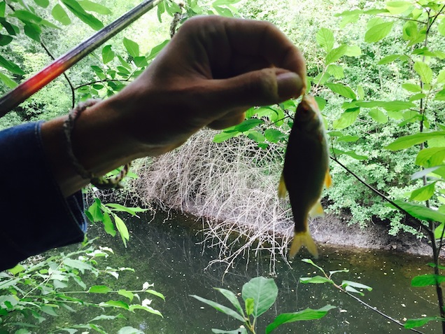 Illustration for article titled Gerillahorgászat Budapesten: benzines biciklivel a titkos tavon