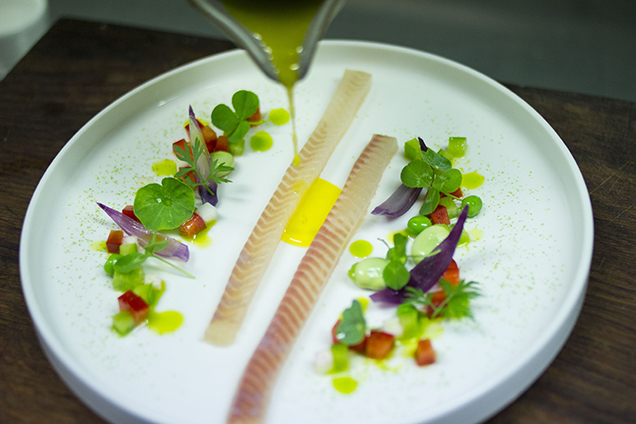 Ezt a halat nemcsak el akarom, hanem el is fogom készíteni