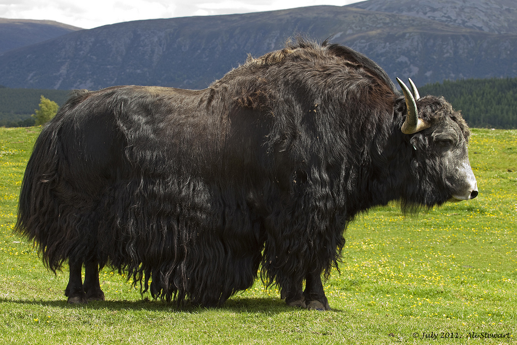 Egy dolog miatt volt meglepő a mai magyar harcirepülő-baleset