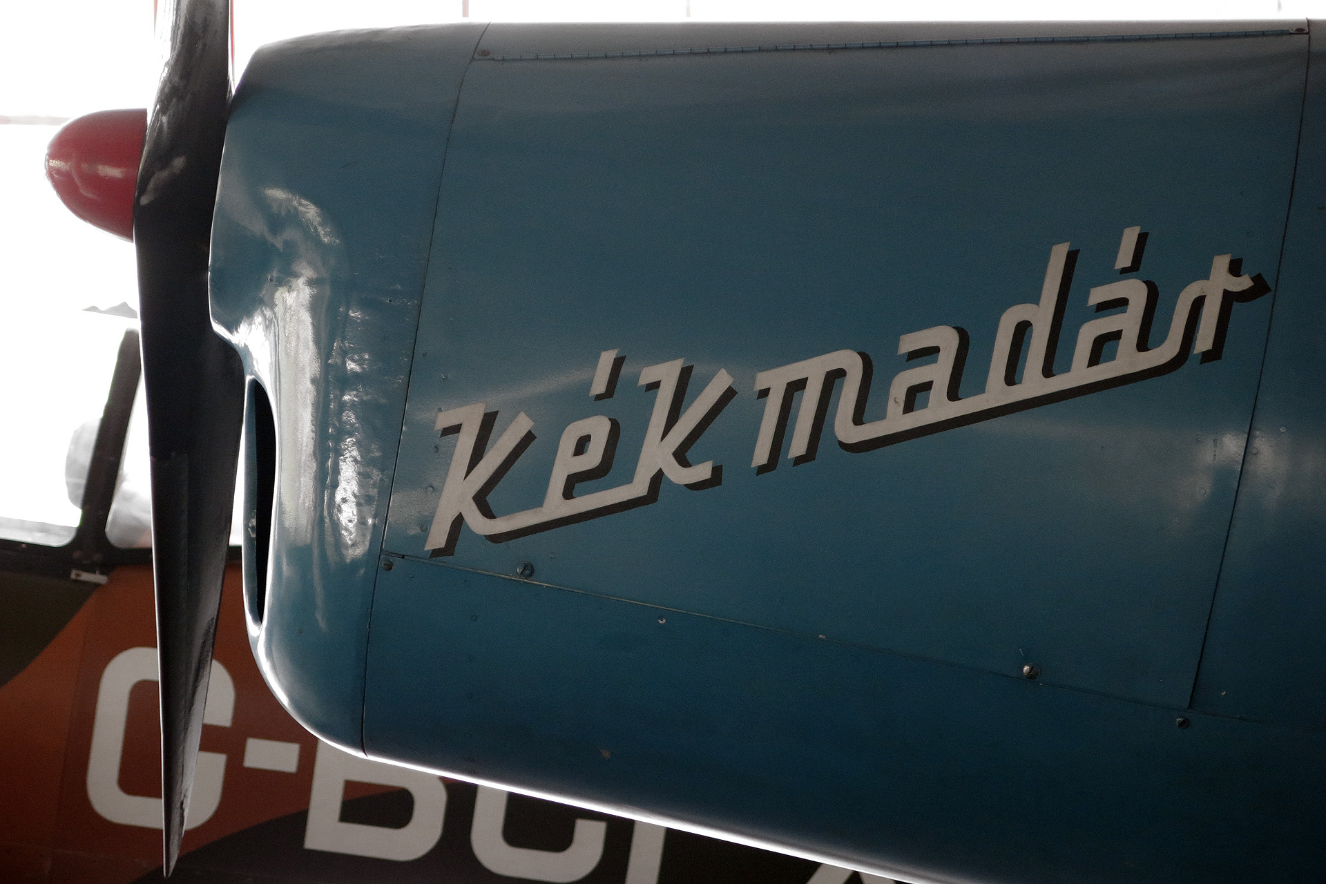 Illustration for article titled Még soha nem láttam ennyi szomorú nénit egyszerre