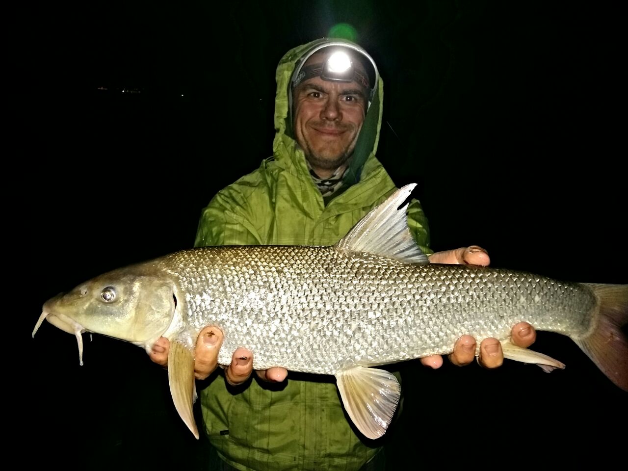 Alkalmas-e szusinak a zsidóhal?