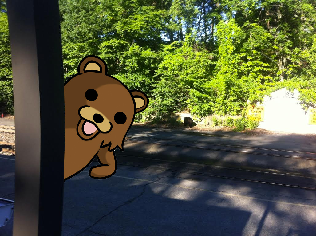 Illustration for article titled Világcsúcs kifogás: kollégám arra hivatkozott, medve áll a megállóban