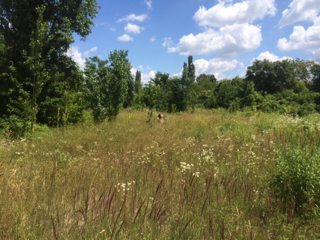 Ez a magyar Toszkána, nem a túlhájpolt Káli Sznobmedence