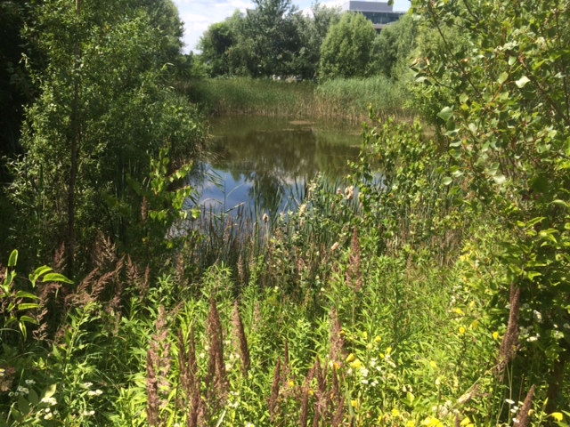 Illustration for article titled Ez a magyar Toszkána, nem a túlhájpolt Káli Sznobmedence