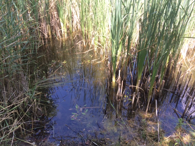 Illustration for article titled Ez a magyar Toszkána, nem a túlhájpolt Káli Sznobmedence