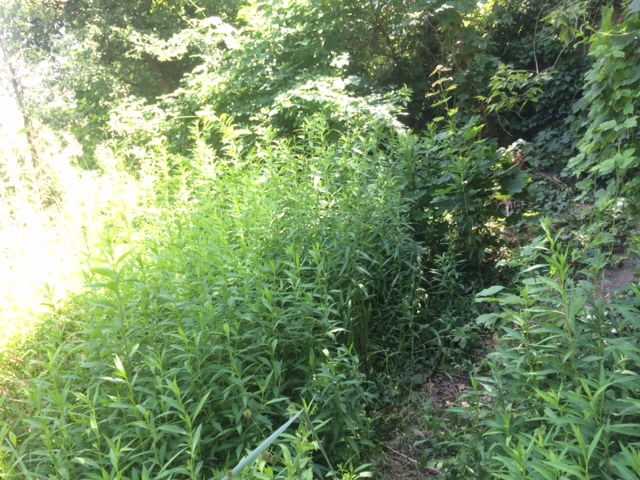 Illustration for article titled Ez a magyar Toszkána, nem a túlhájpolt Káli Sznobmedence