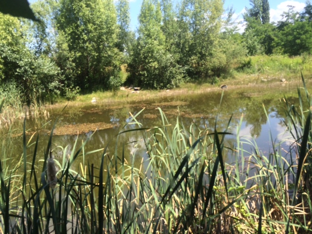 Illustration for article titled Ez a magyar Toszkána, nem a túlhájpolt Káli Sznobmedence