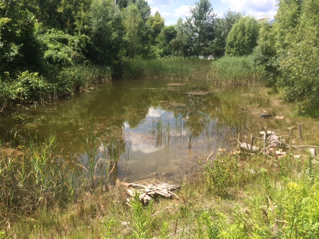 Illustration for article titled Ez a magyar Toszkána, nem a túlhájpolt Káli Sznobmedence