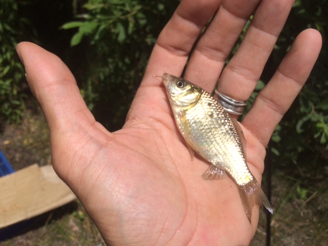 Illustration for article titled Ez a magyar Toszkána, nem a túlhájpolt Káli Sznobmedence