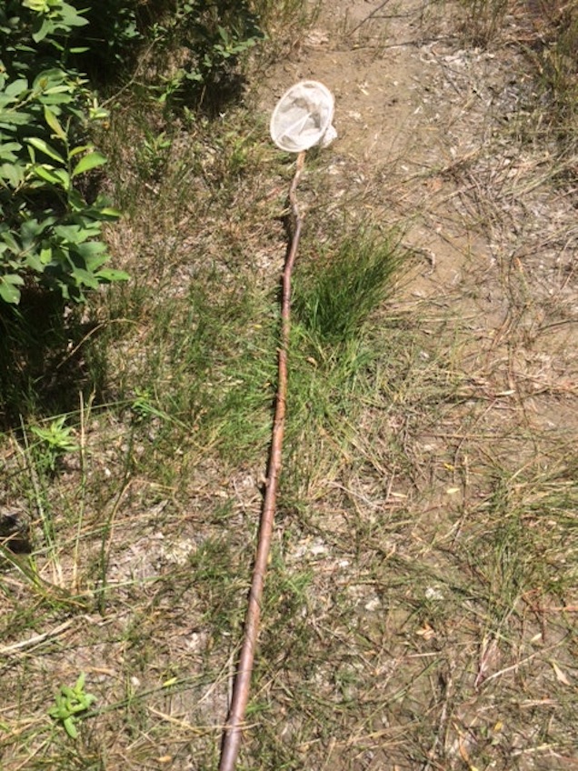 Illustration for article titled Ez a magyar Toszkána, nem a túlhájpolt Káli Sznobmedence