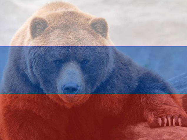 Kocsis Máté példáját követik a melegházasság amerikai és orosz ellenzői