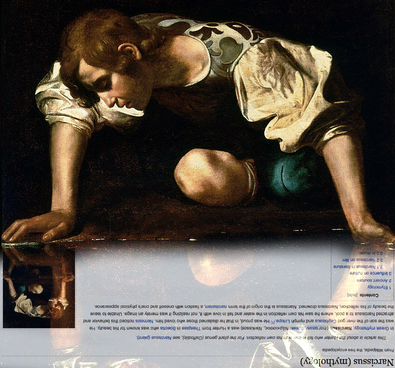 A magyar Wikipedia 15 legjobb saját szerkesztésű oldala