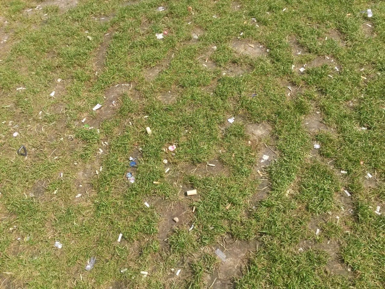 Illustration for article titled Magyarország legmenőbb strandja Budapest közepén található