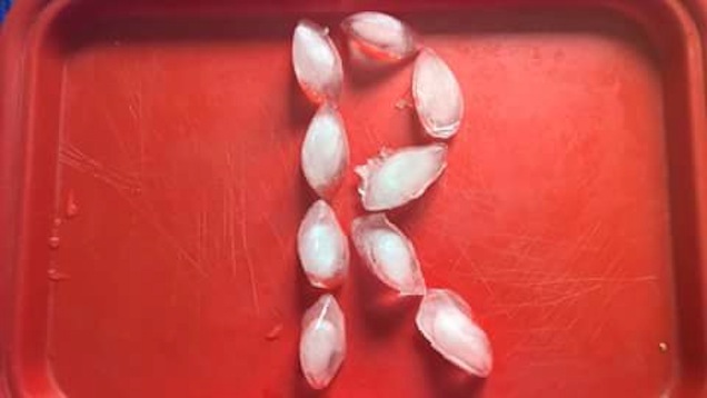 Ez az ideális képvicc pusztító hőség idejére