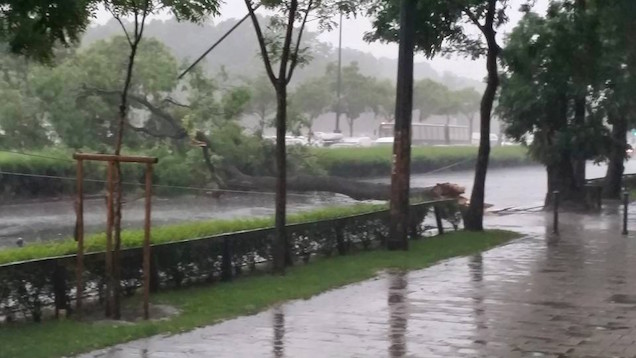 Már azt hittétek, egy kis esővel megússzátok? Tévedtetek!