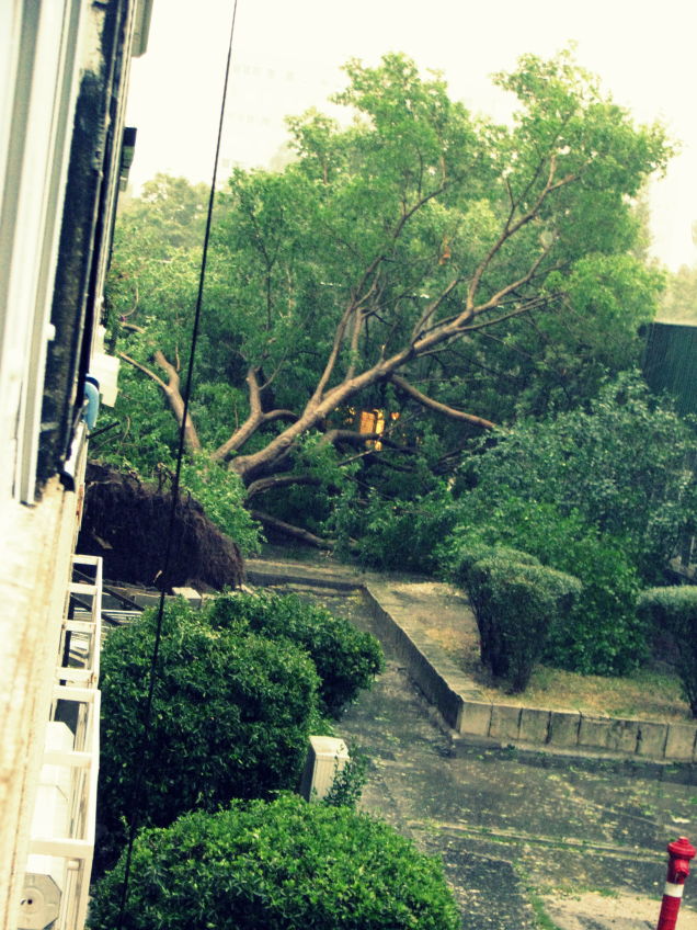 Illustration for article titled Már azt hittétek, egy kis esővel megússzátok? Tévedtetek!