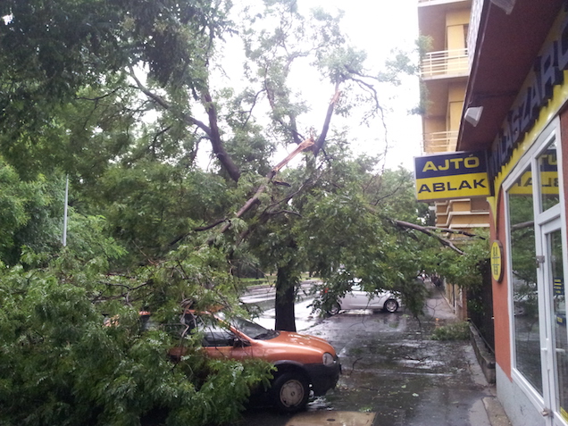 Illustration for article titled Már azt hittétek, egy kis esővel megússzátok? Tévedtetek!