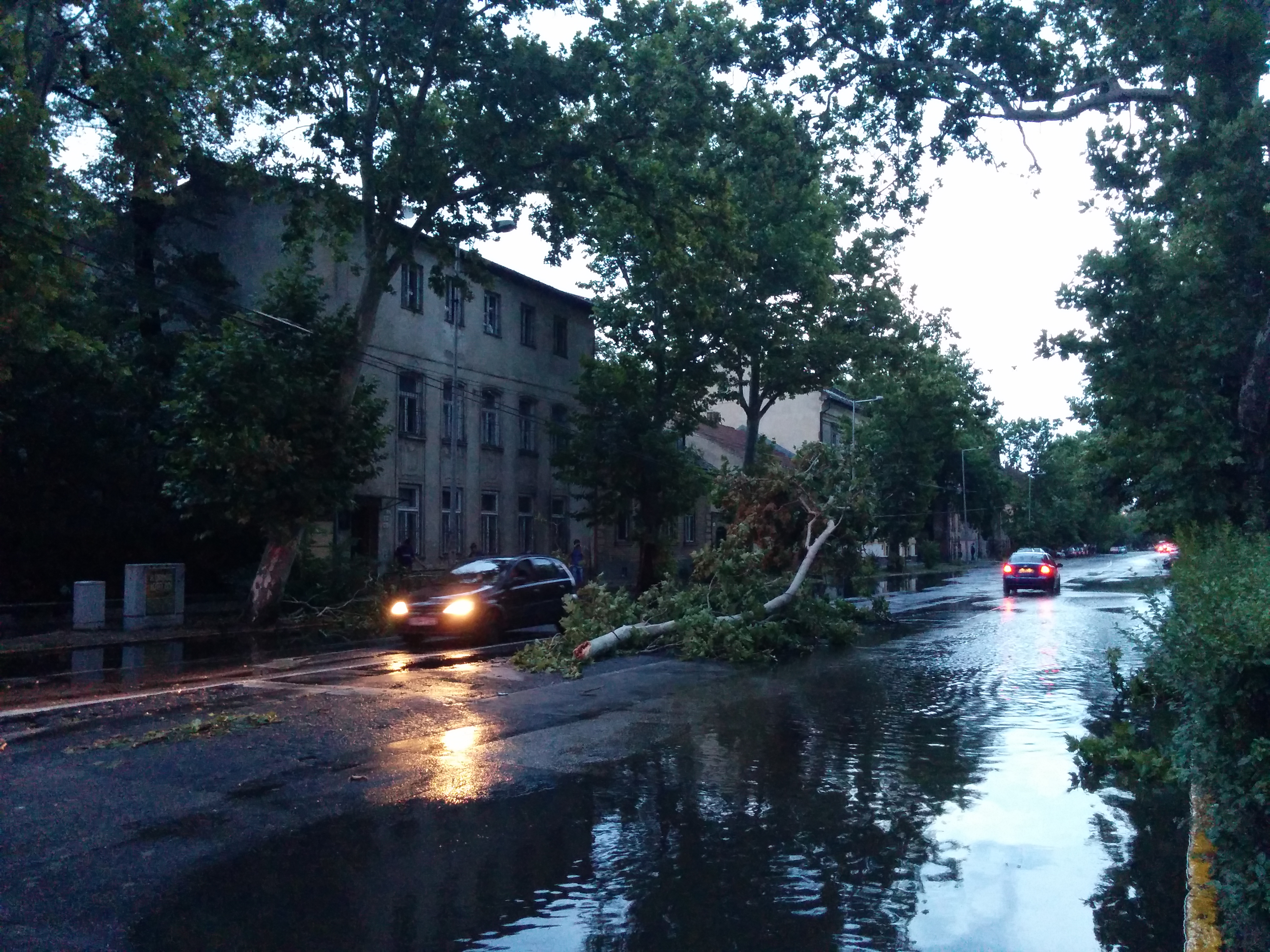 Illustration for article titled Csatatér a város