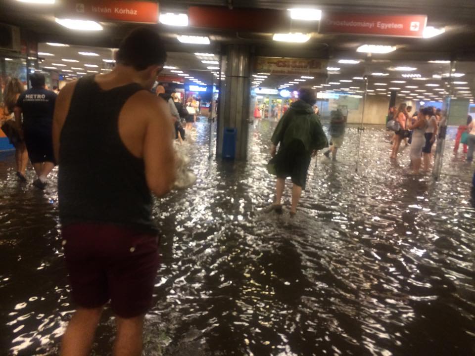 Illustration for article titled Viharmageddon Budapesten: lazachorgászhellyé alakult a metró